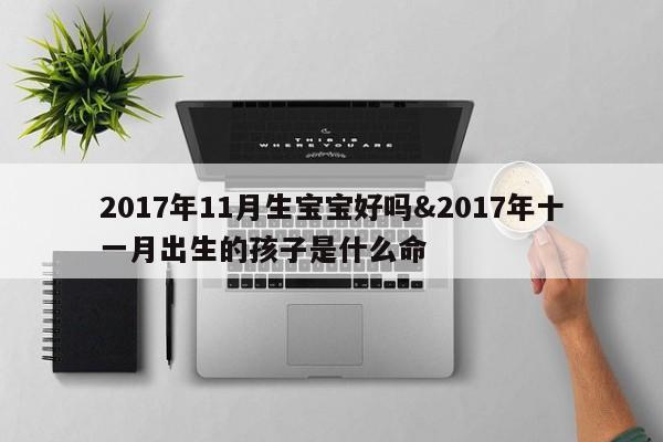 2017年11月生宝宝好吗&2017年十一月出生的孩子是什么命