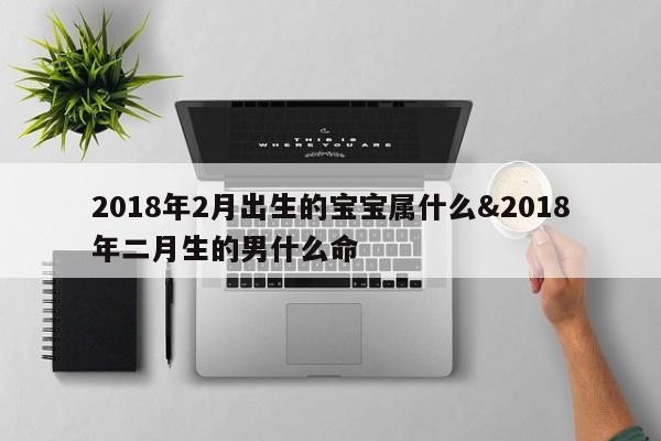 2018年2月出生的宝宝属什么&2018年二月生的男什么命