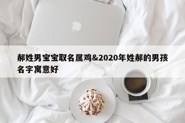 郝姓男宝宝取名属鸡&2020年姓郝的男孩名字寓意好